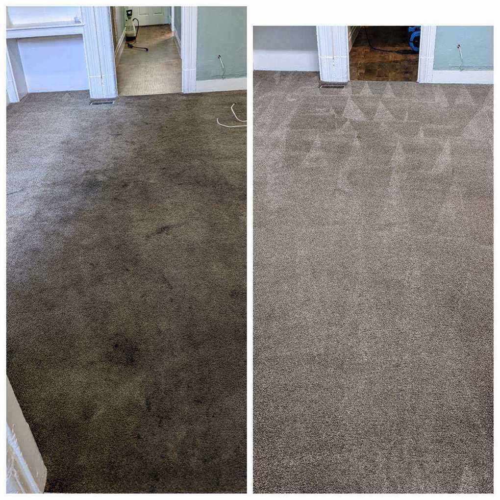 Carpet drying after professional cleaning