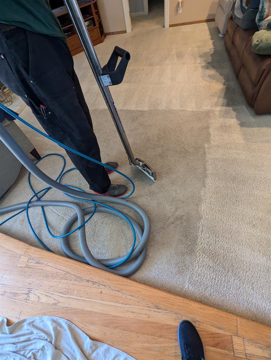 How Often Should You Clean Your Carpets in Martinez, CA?