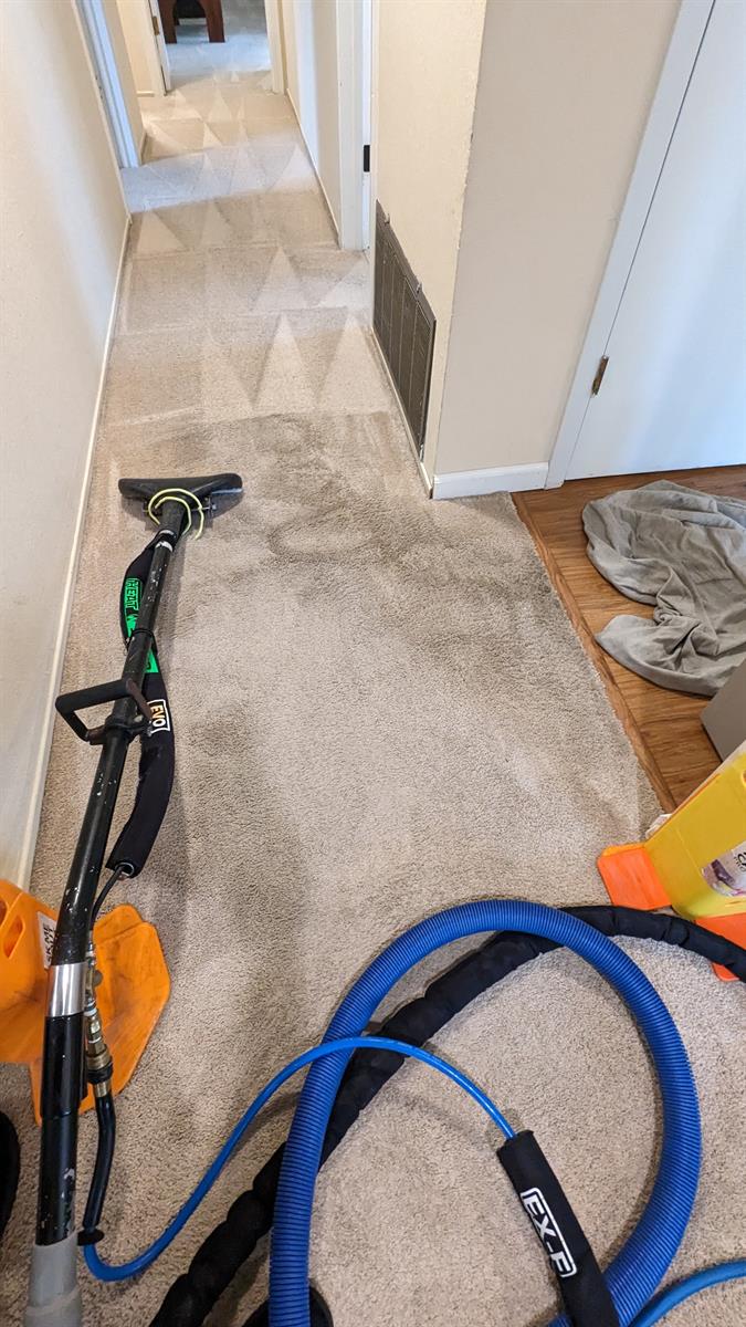 24 Hour Water Damage in Martinez CA