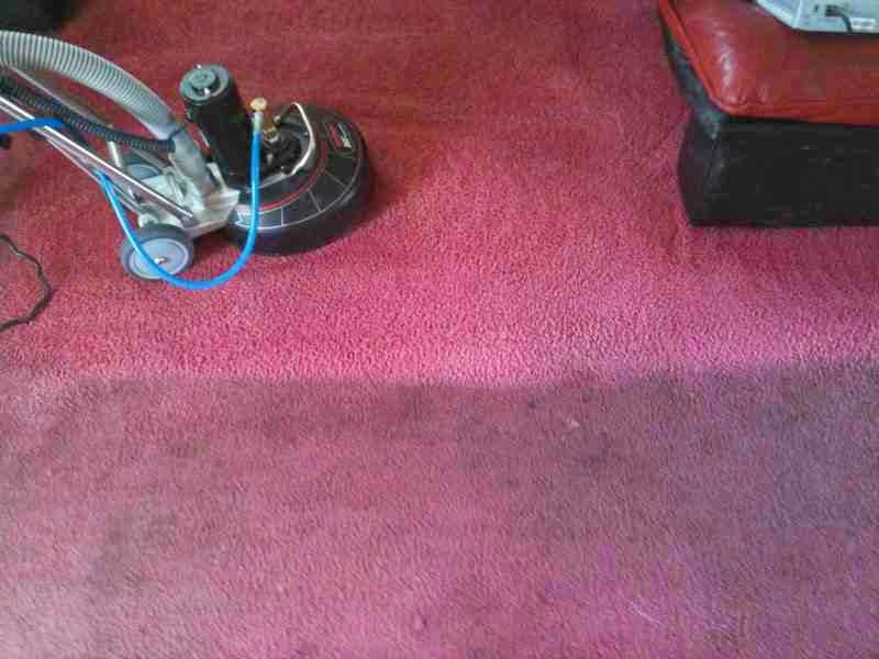 Professional carpet cleaning in Martinez CA